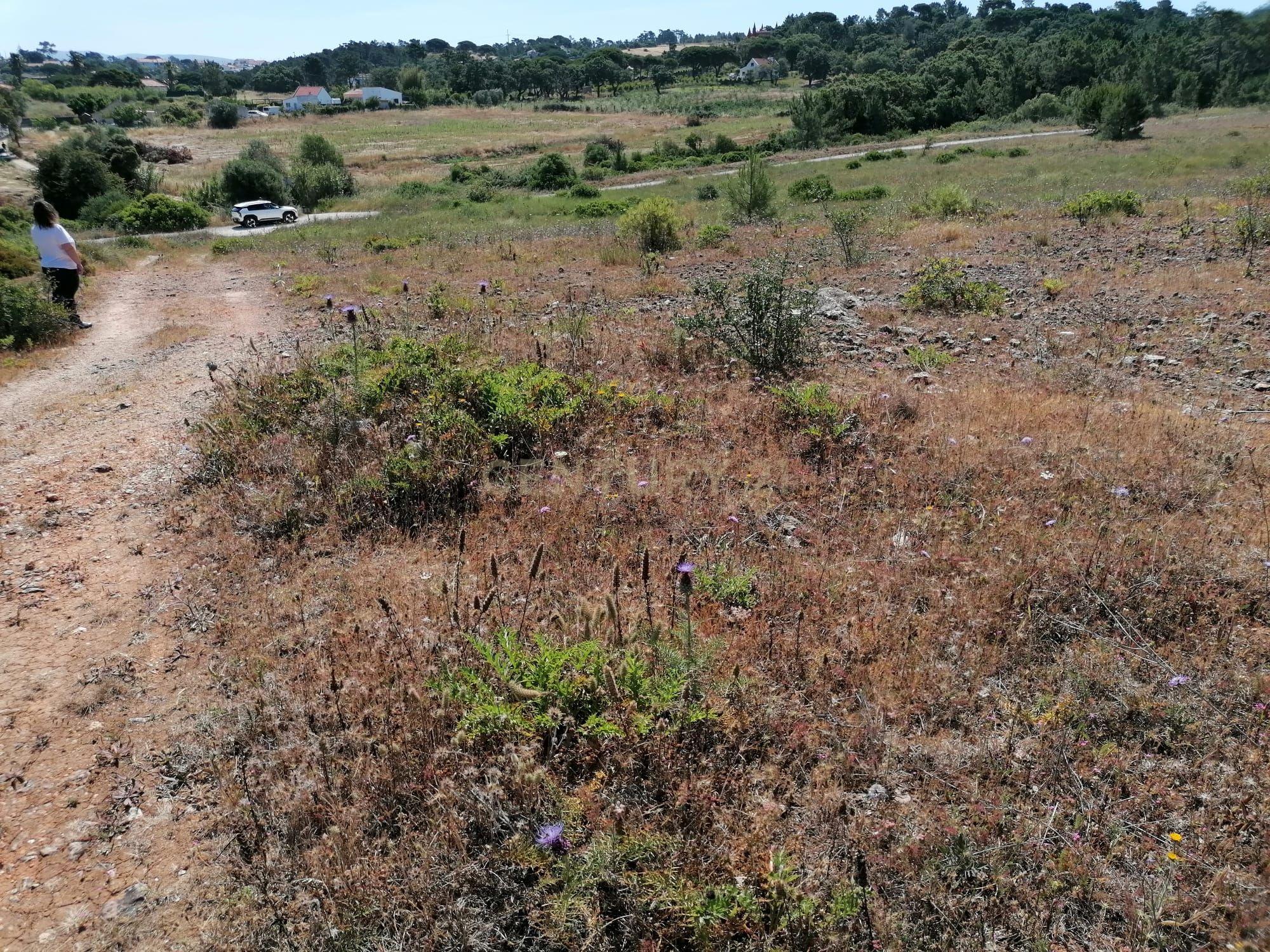 Fotografia 8 de Terreno com 454 m2 Alfarim