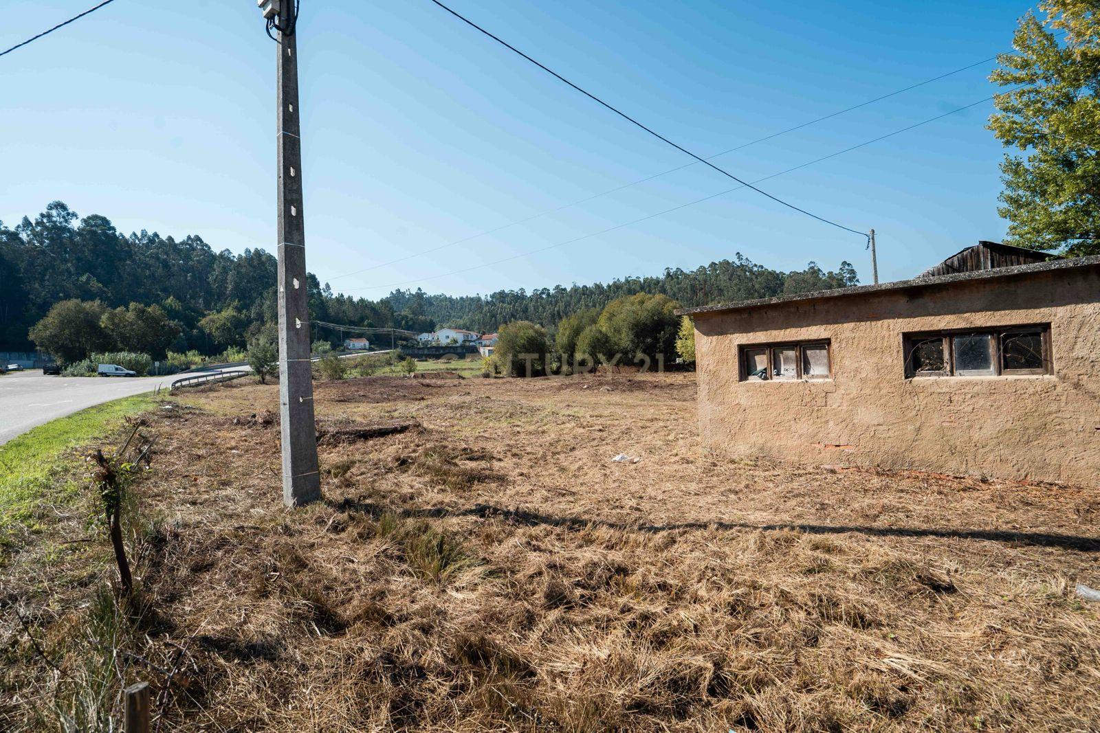 Fotografia 12 de Terreno  9.000m2 + Armazém em Miranda do Corvo, Coimbra
