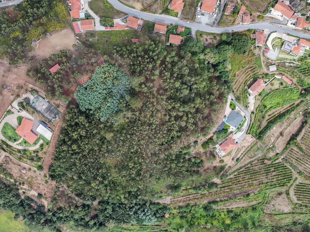 Venda de Terreno Rústico – Excelente Potencial para Projeto Fotovoltaico - Image 4