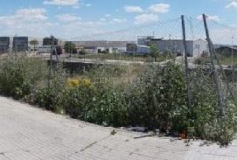 Terreno - Image 10