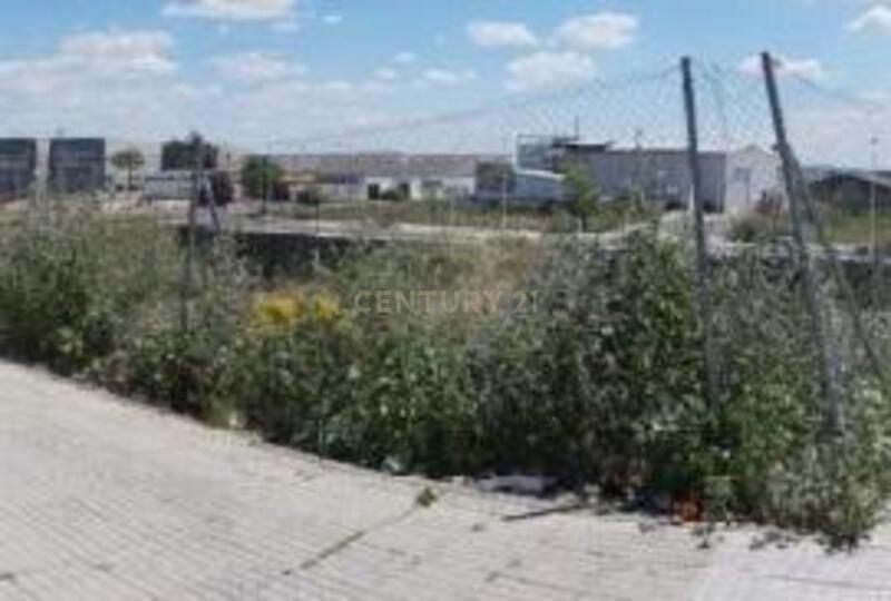 Terreno - Image 10