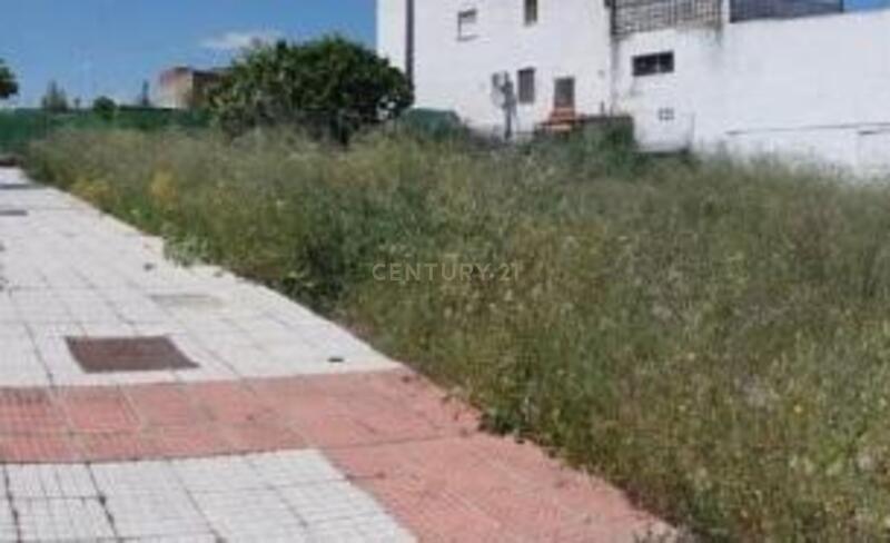 Terreno - Image 9