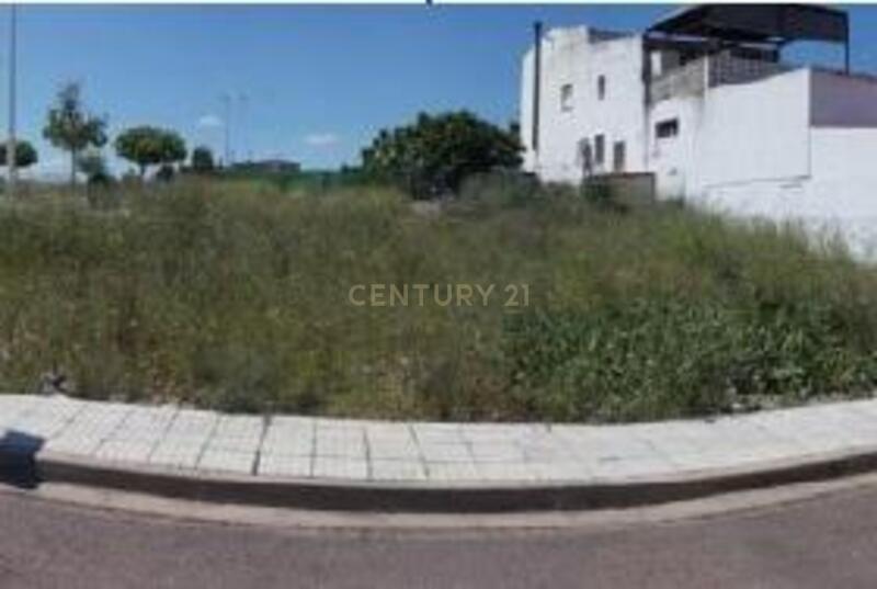Terreno - Image 8