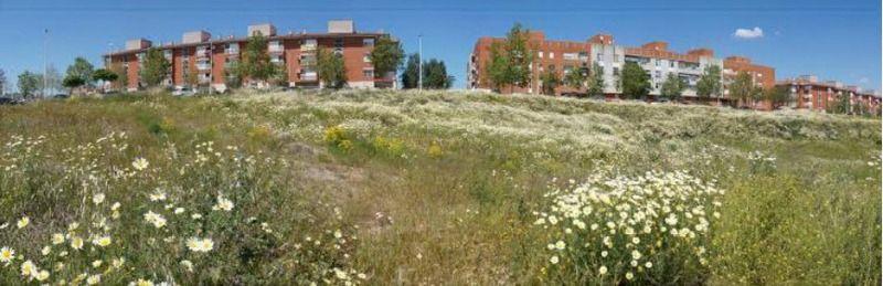 Terreno - Image 7