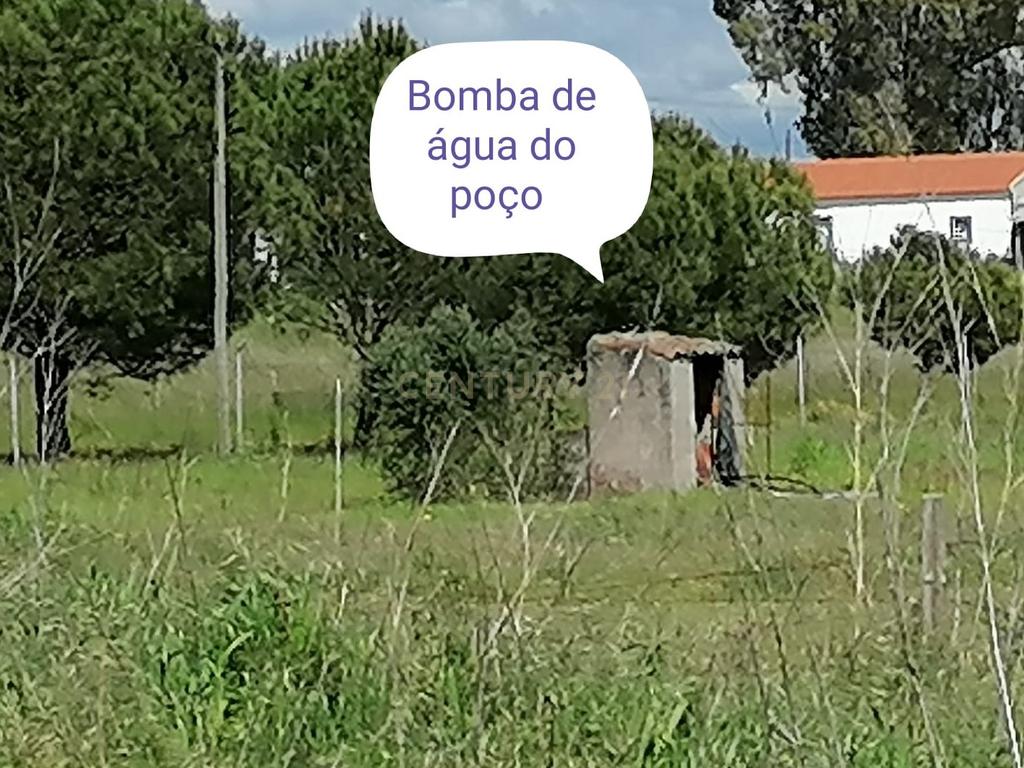 Quinta Rústica em Évora com 8.750 m2 e uma Vista Campestre - Image 34