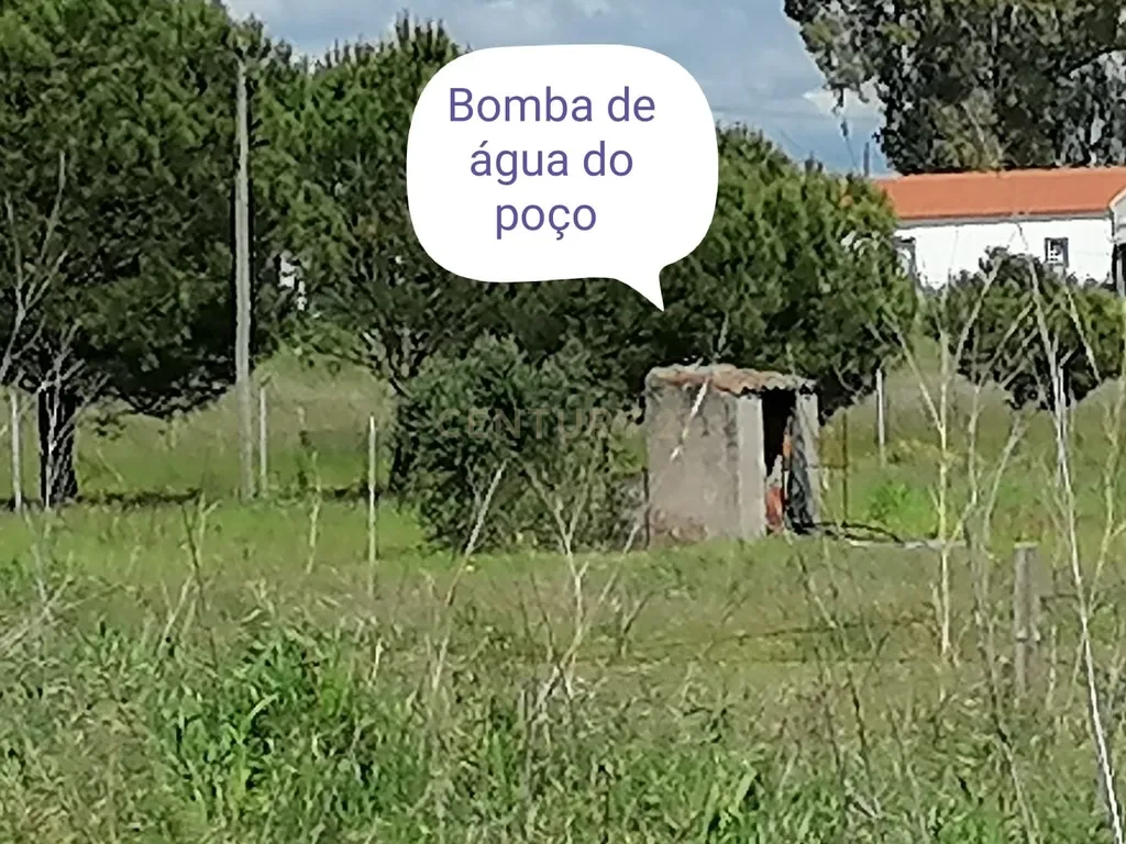 Quinta Rústica em Évora com 8.750 m2 e uma Vista Campestre - Image 34