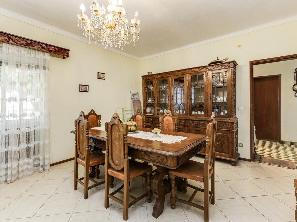 OPORTUNIDADE 360º – Moradia T3 + Posto de Combustível GALP + Terrenos (36 000 m²) - Image 76