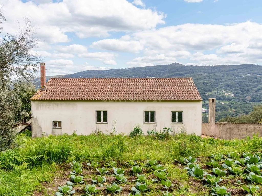 QUINTA COM 2,5 HECTARES EM ZONA CENTRAL DE MONCHIQUE - Image 29