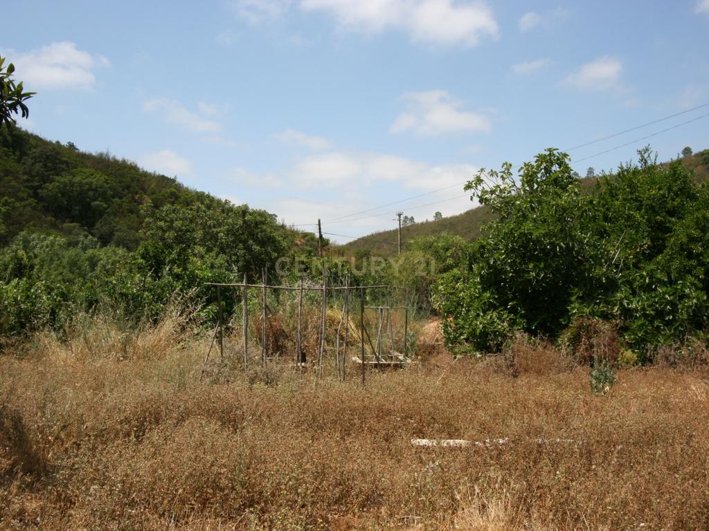 Quinta tradicional com moradia, garagem e vários anexos em terreno de 2020 m2, Zebro de Baixo, Silves - Image 27