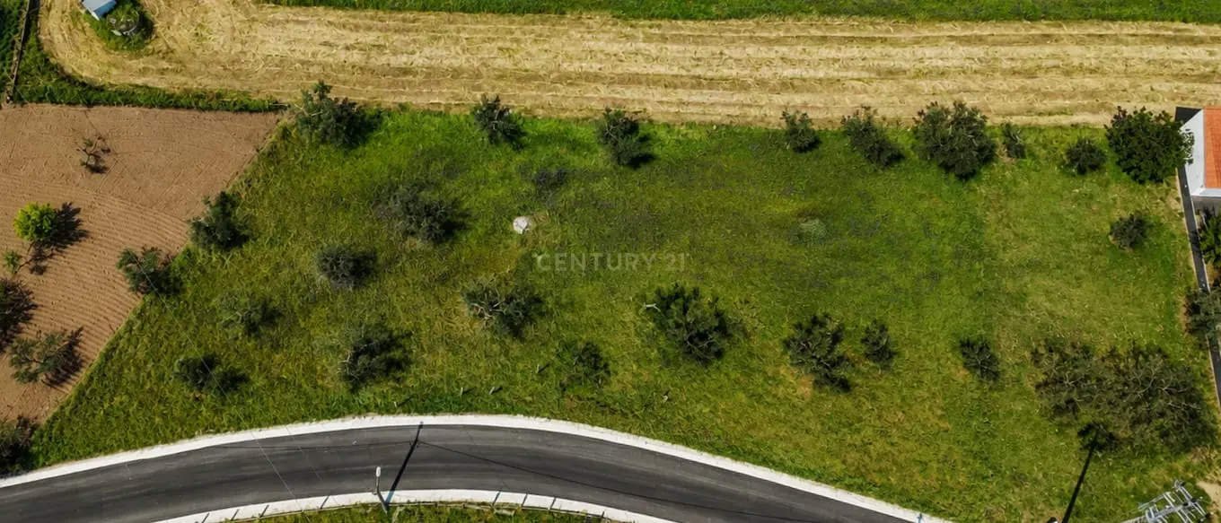 Fotografia 6 de Terreno para Construção | Casal Fernão João