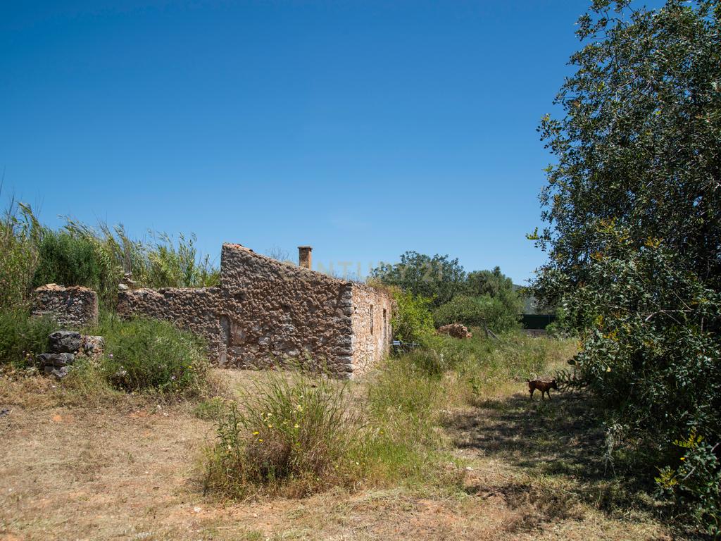 Terreno com Potencial de Construção em Falfosa – Santa Bárbara de Nexe, Faro - Image 5