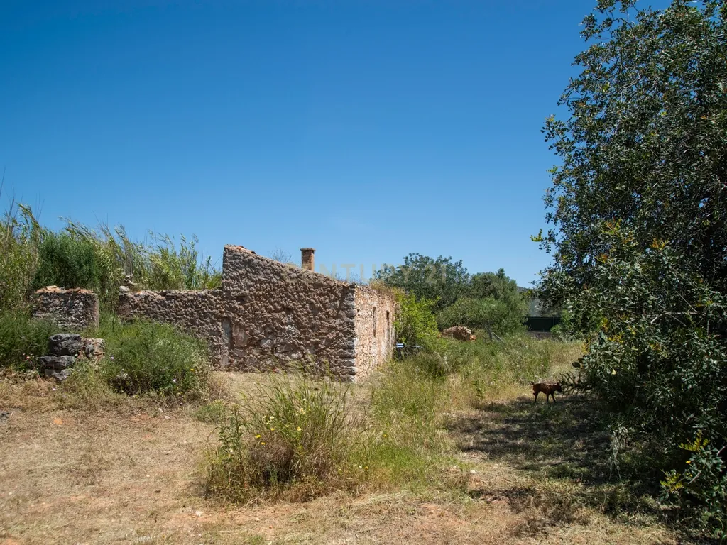 Terreno com Potencial de Construção em Falfosa – Santa Bárbara de Nexe, Faro - Image 5