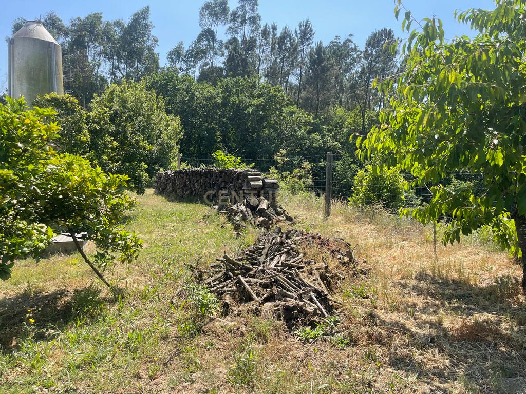 Terreno de 7.500 m² situado próximo ao lago, contendo uma casa a ser restaurada e um aviário automatizado altamente rentável. - Image 44