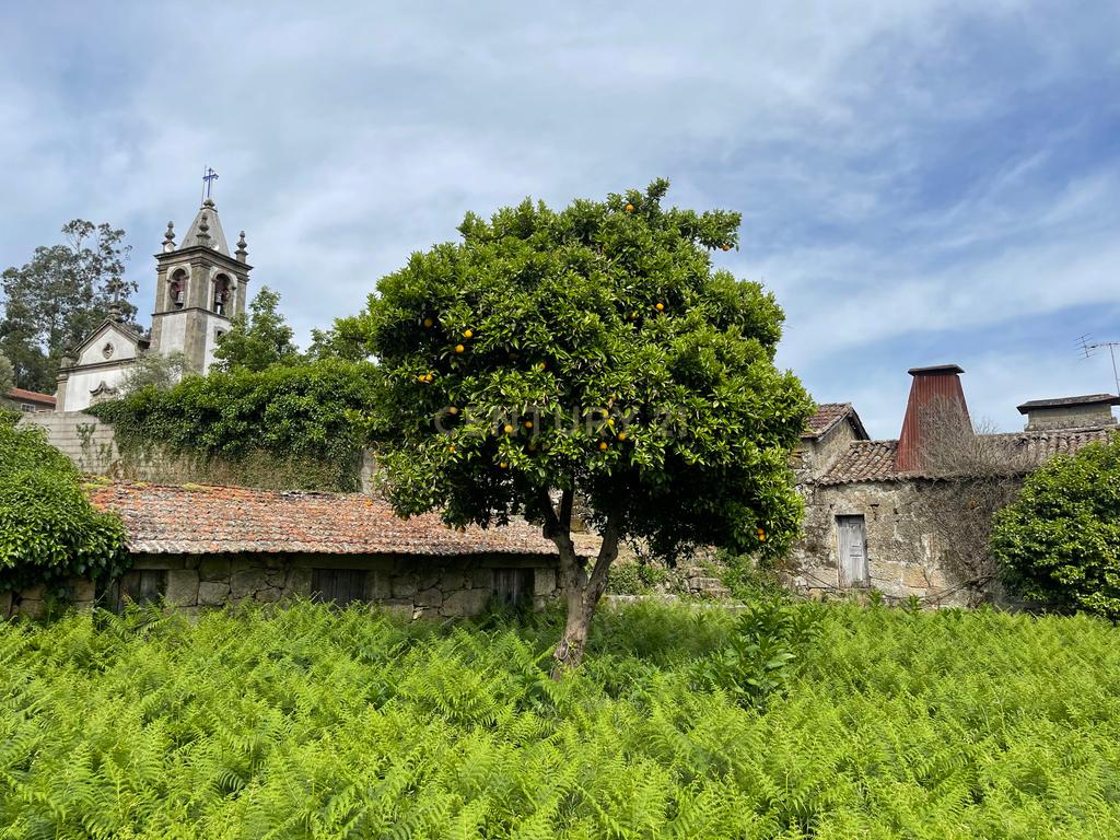 Propriedade com 1,8 hectares de área urbana e 3,2 hectares de solo fértil e floresta, composta por 8 edifícios independentes totalizando 700 m² de área construída, localizada no centro de Serrazes, São Pedro do Sul. - Image 45