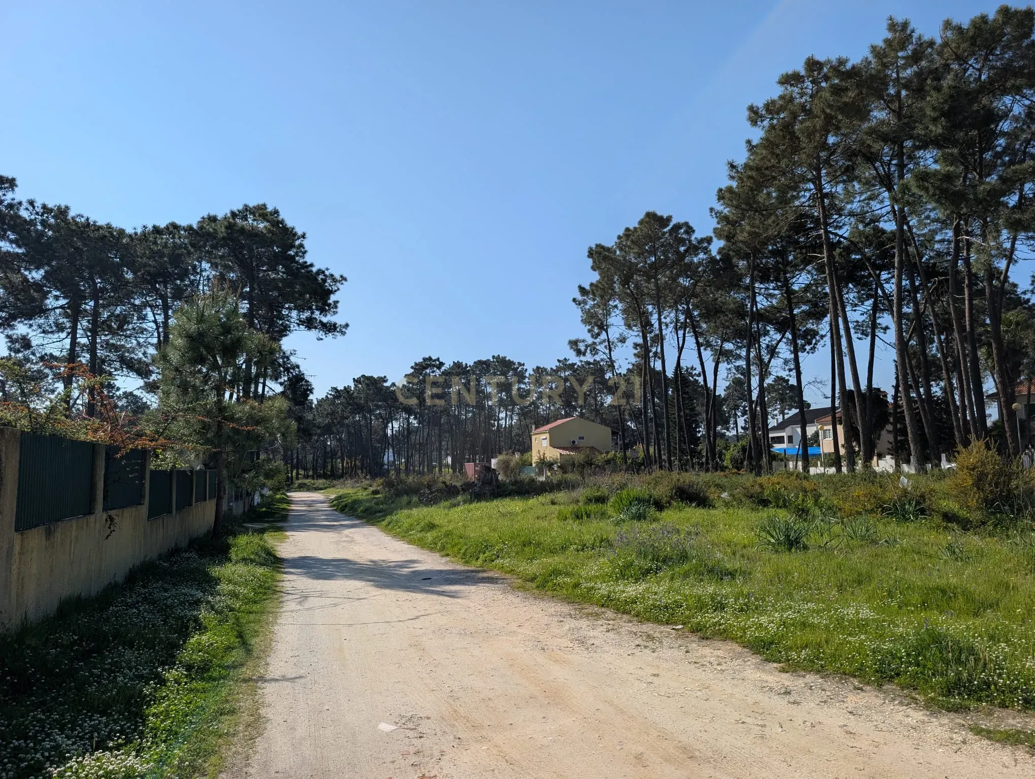 Fotografia 5 de Terreno rústico com 985m2 Aroeira, para lotear