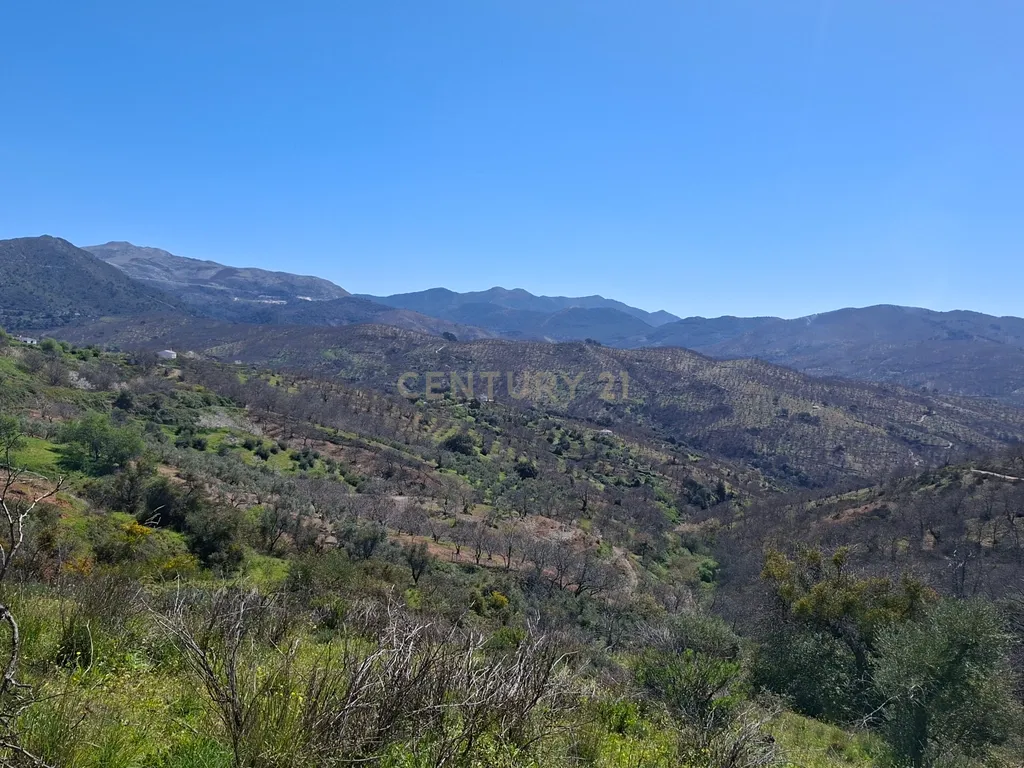 Moradia geminada de gaveto, com orientação sul, vistas para a montanha e duas propriedades rústicas com oliveiras, vinhas e castanheiros, no coração do Alto Genal. - Image 15