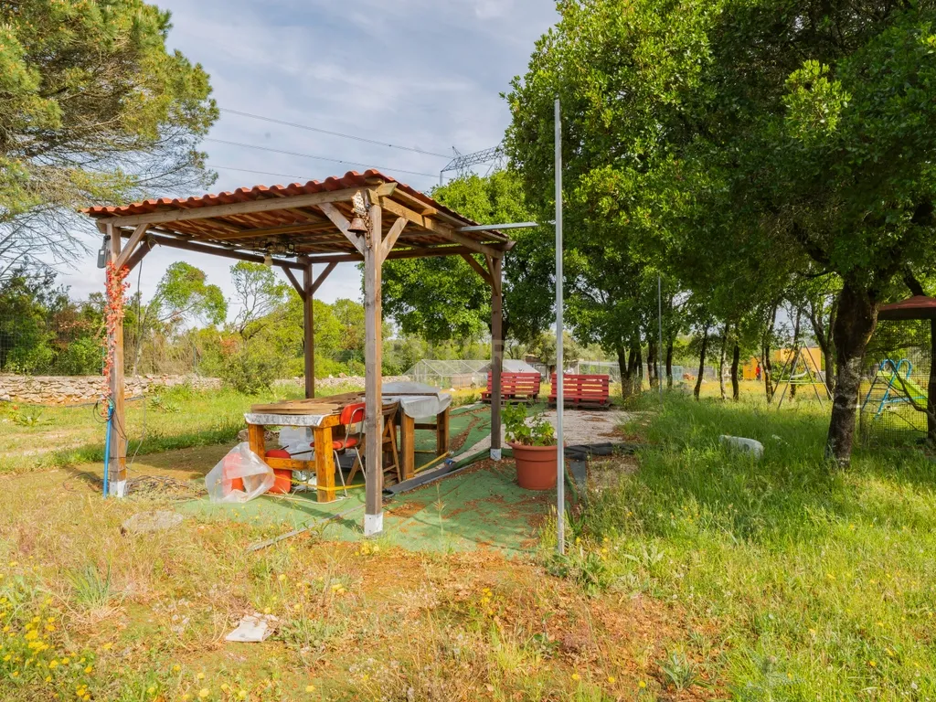 Quinta com habitação - Alcobaça - Image 12
