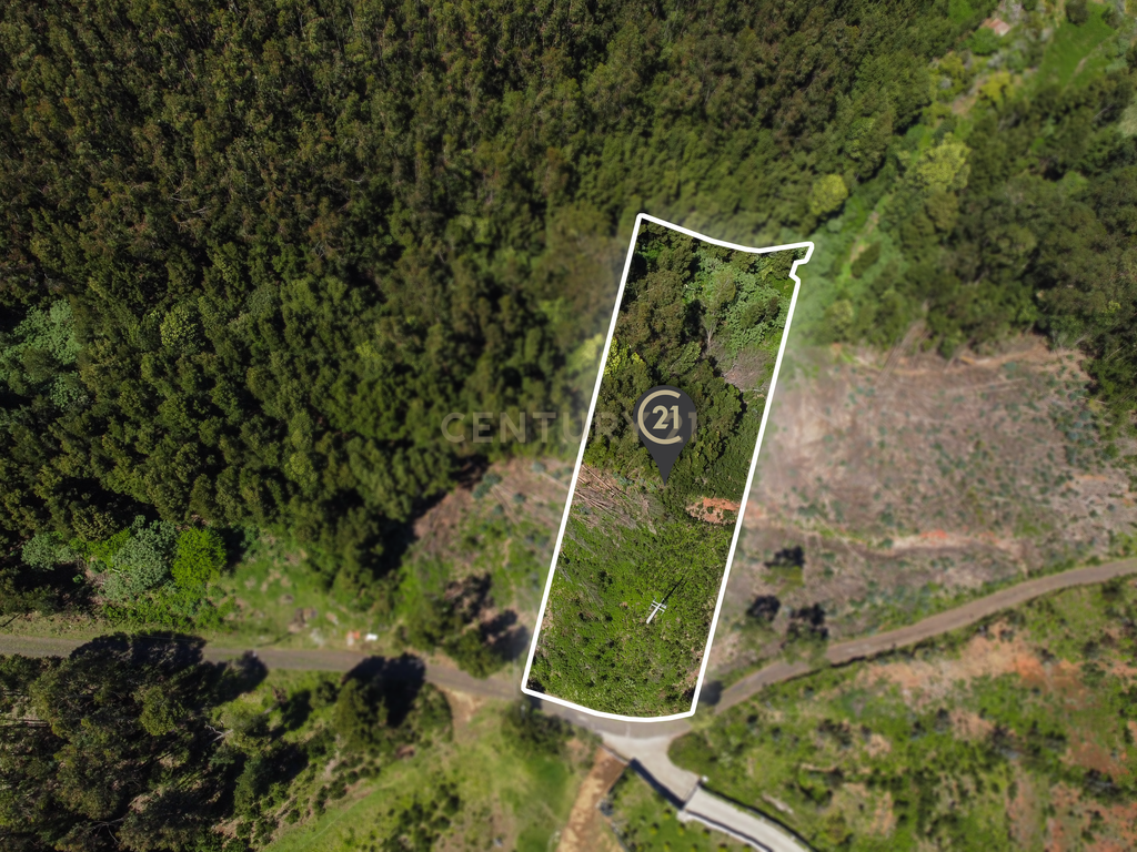 Terreno com Vista Mar e Viabilidade de Construção para Habitação Própria em Gaula - Image 6