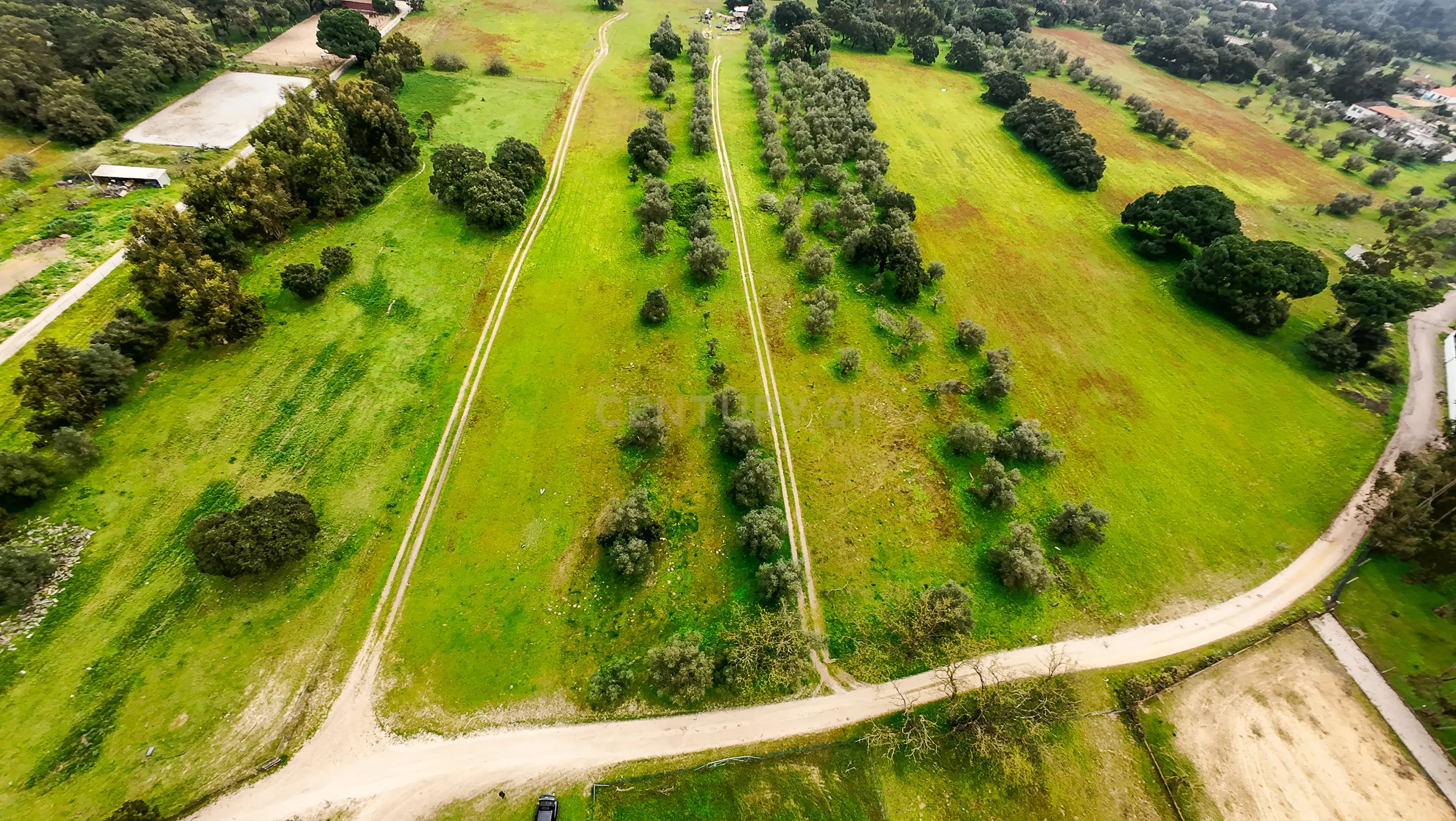 Fotografia 8 de Quinta do Anjo - Terreno Rústico com 10 000m2