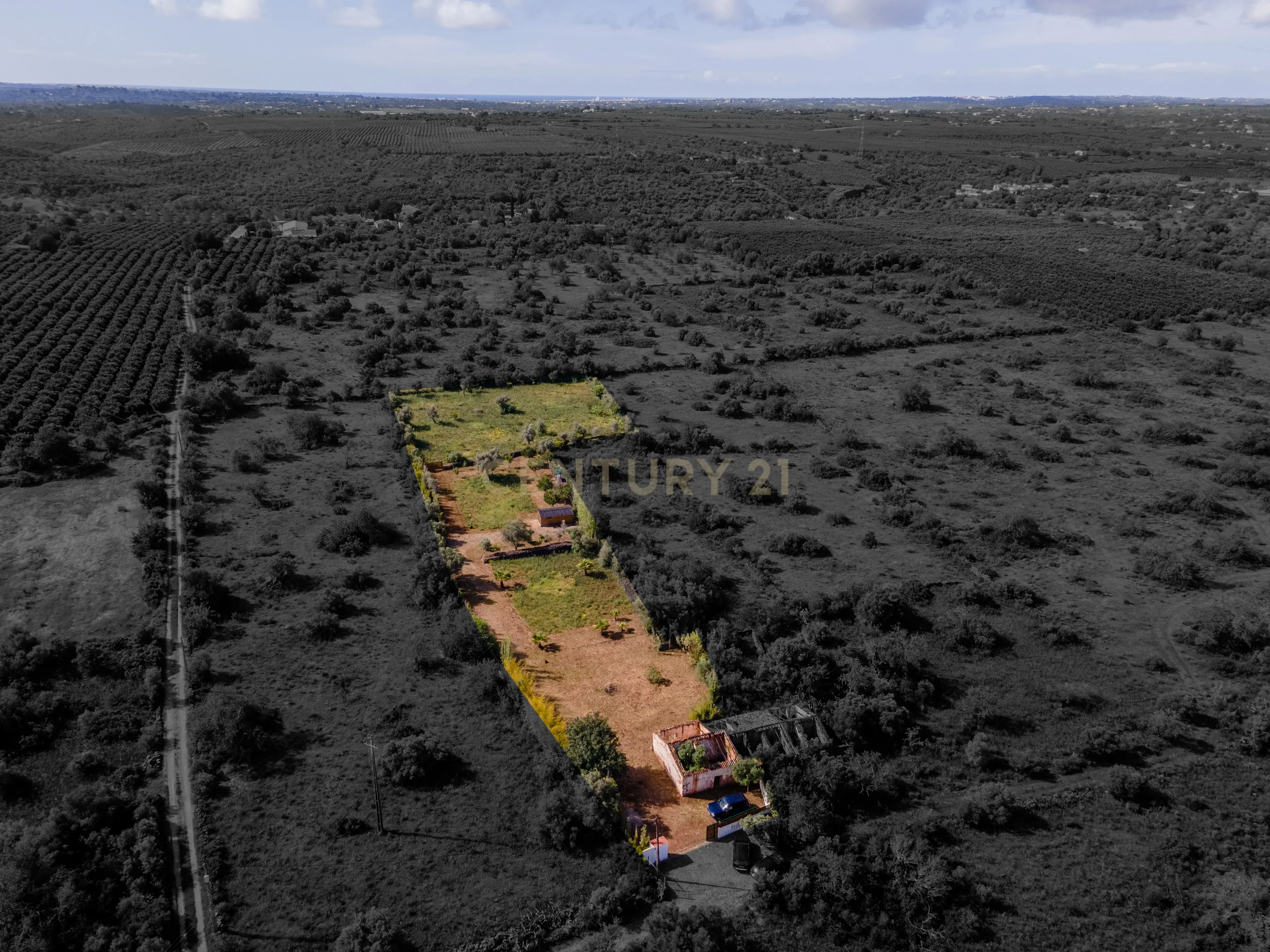 Fotografia 7 de MORADIA EM RUINA COM TERRENO 5680m2