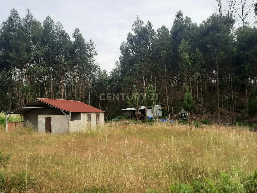 Casa moderna T3 e terreno rústico perto de Oliveira de Frades e Vouzela, preço total 125.000.00 euros! - Image 17