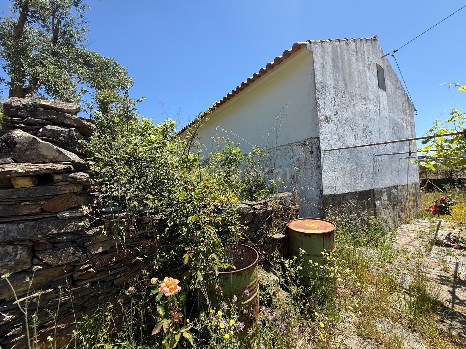 Fotografia 11 de Casa de Campo em Alegrete, Portalegre - Oportunidade Única