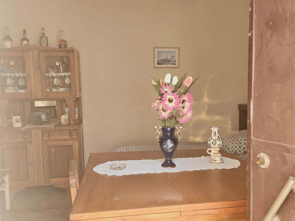 Moradia T1 com Quintal – Alcáçovas - Image 6