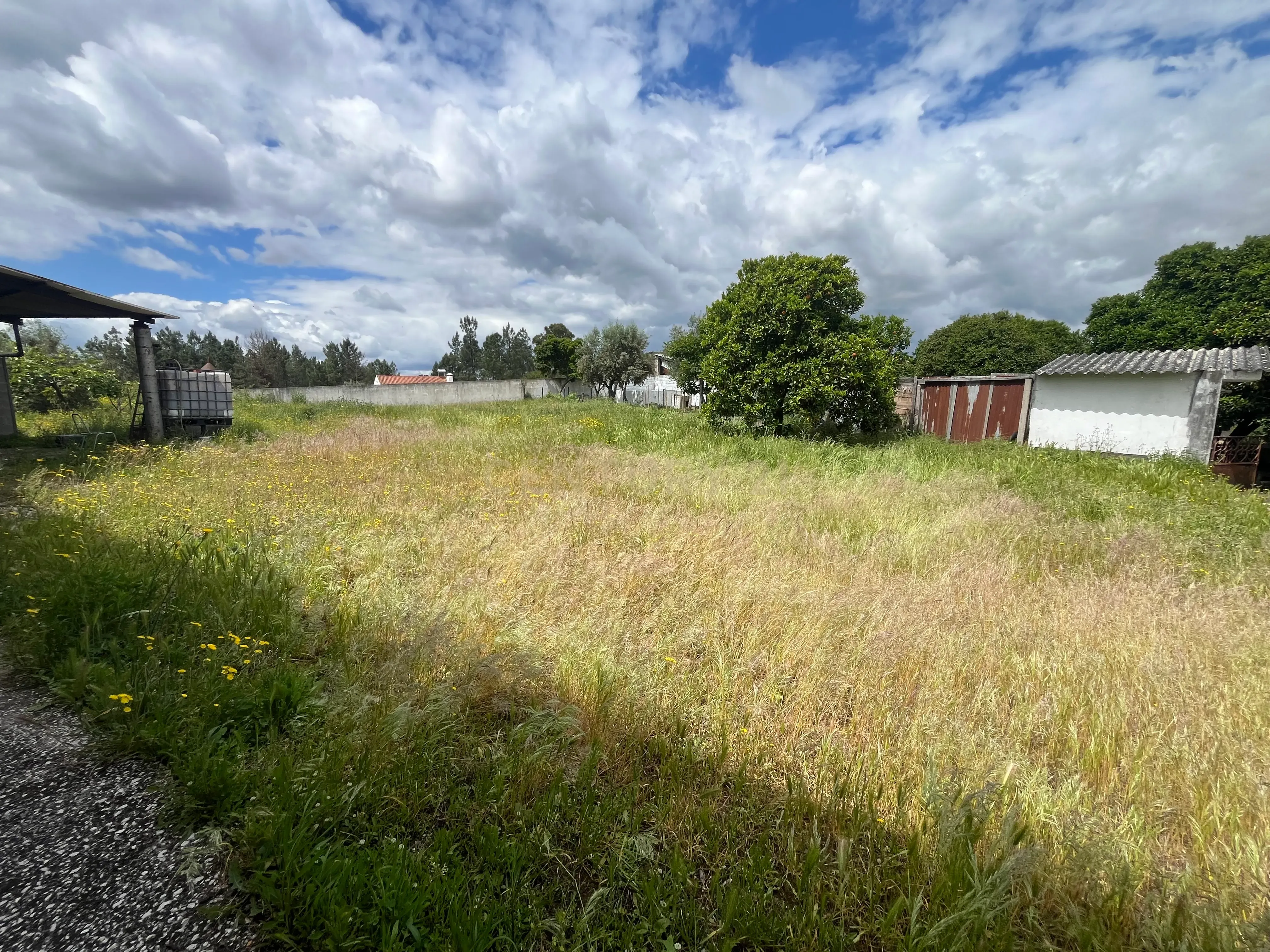 Terreno Urbano com Vista para Serra em Abrantes - Image 13