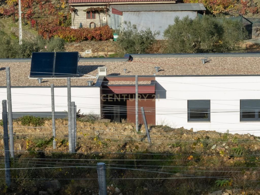🏡Quinta com Moradia T3 e Vinha no Coração do Alto Douro Vinhateiro – Património Mundial da UNESCO - Image 67