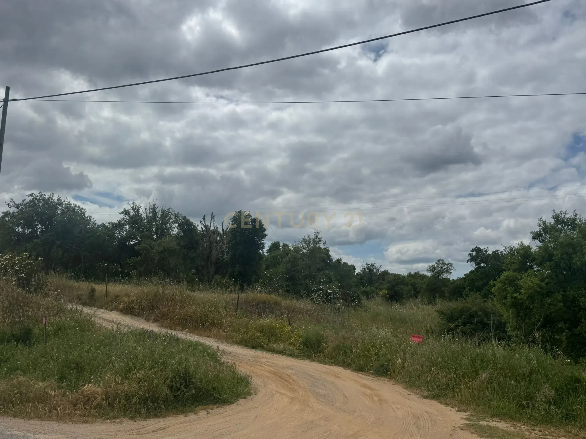Fotografia 12 de Quinta para Recuperação em São Martinho das Amoreiras, Odemira