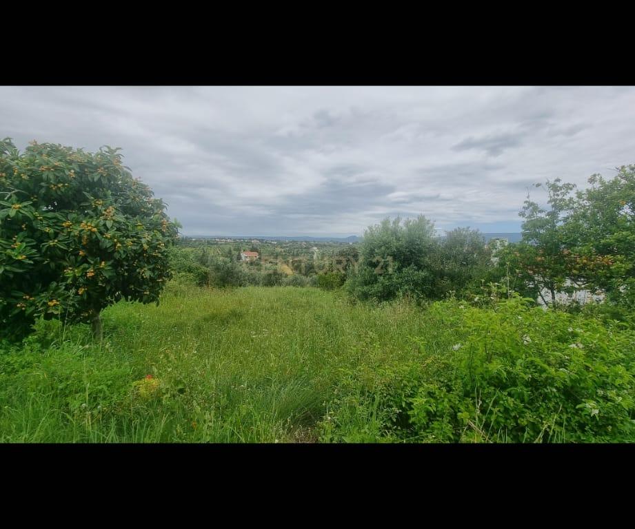 Terreno Urbano à Venda – Brogueira, Torres Novas - Image 2