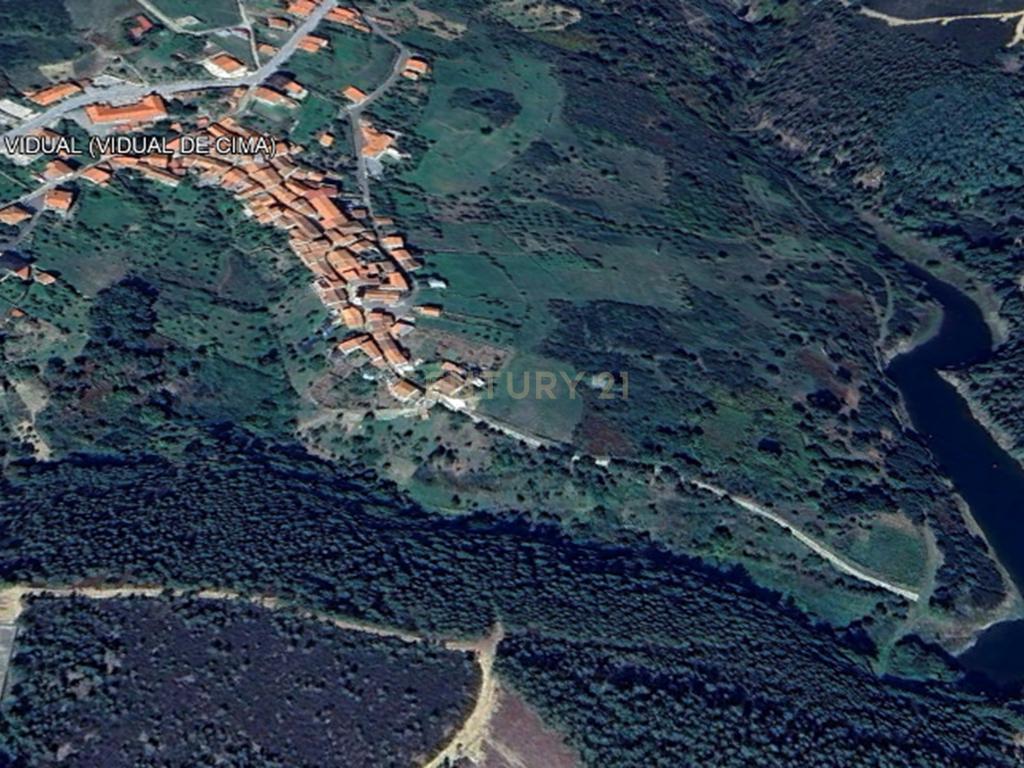 INVESTIMENTO | VIDUAL DE CIMA | SERRA DO AÇOR - Image 3
