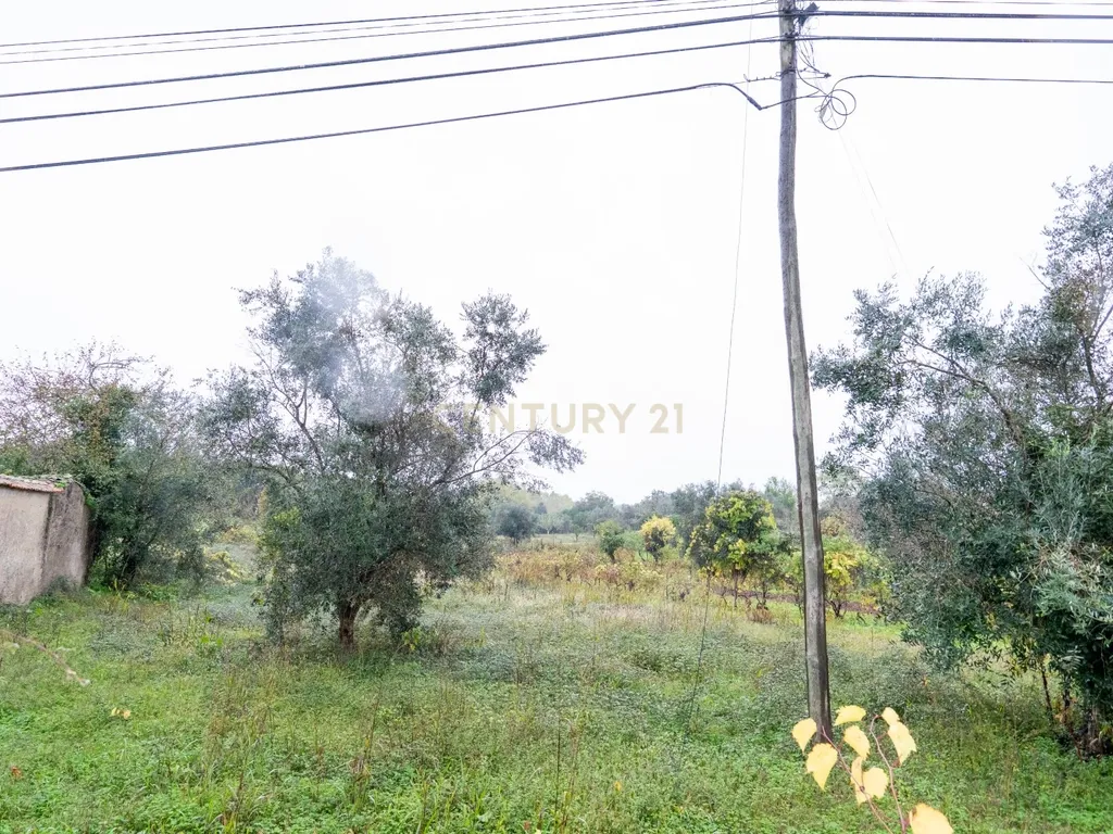Terreno urbano, 1.344m² Pinheiro- Vila Nova de Poiares - Image 6
