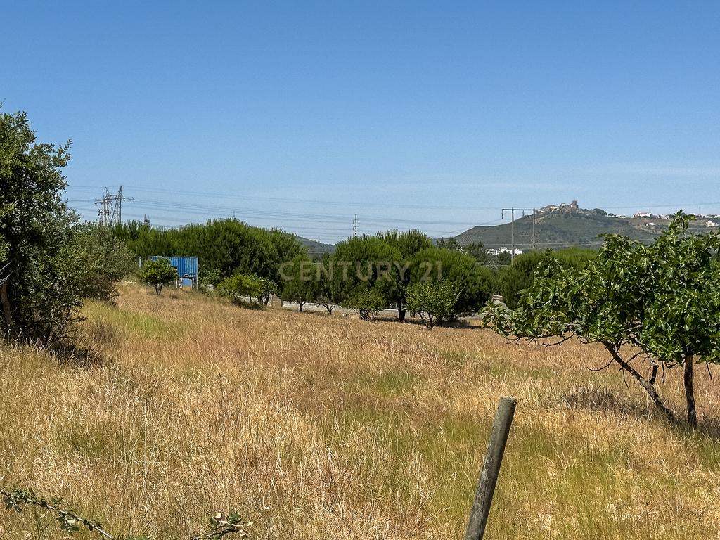 Terreno rústico agrícola, em Pessolhos, Setúbal - Image 25