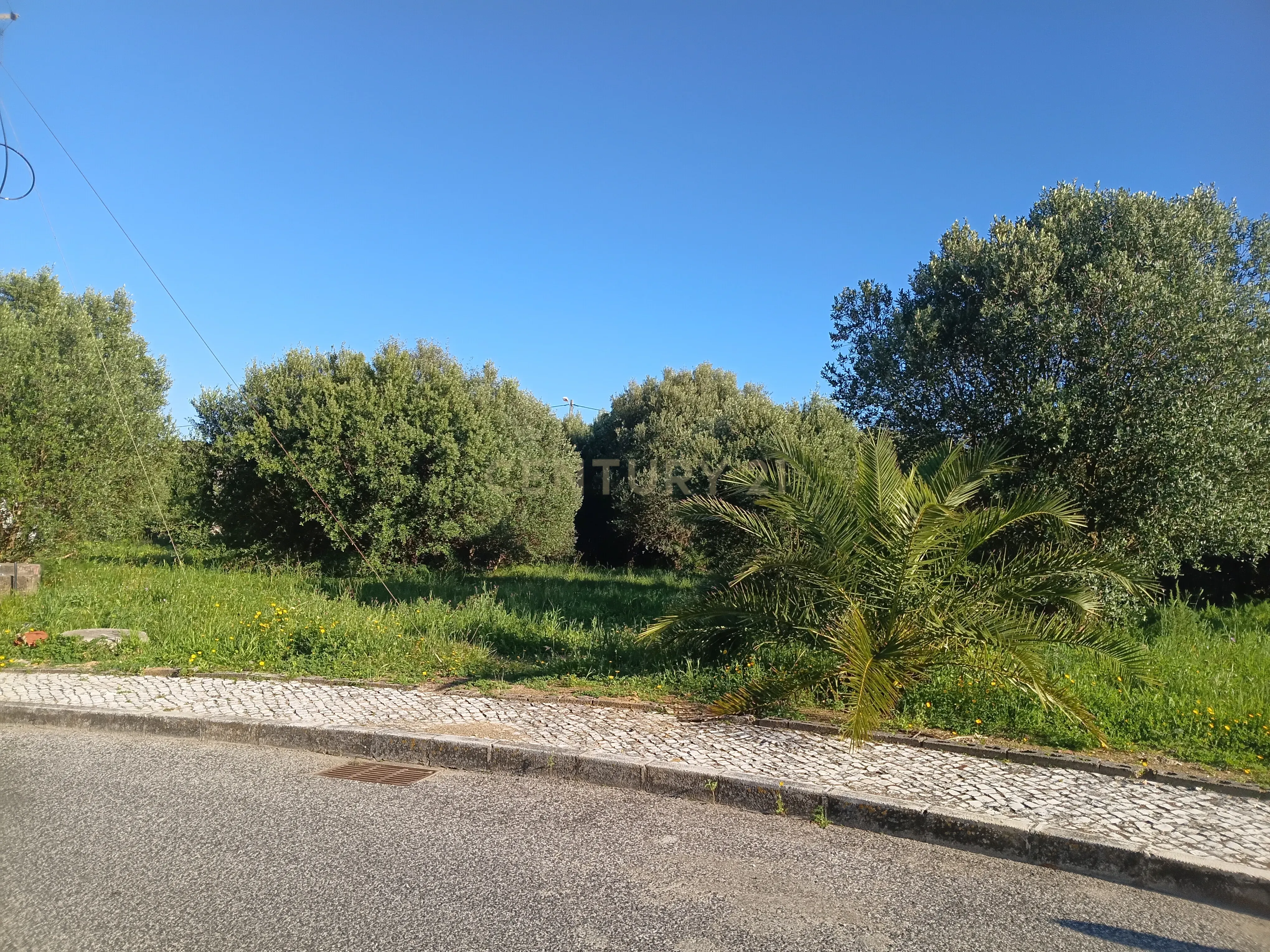 Fotografia 10 de Excelente oportunidade de investimento com 350m2