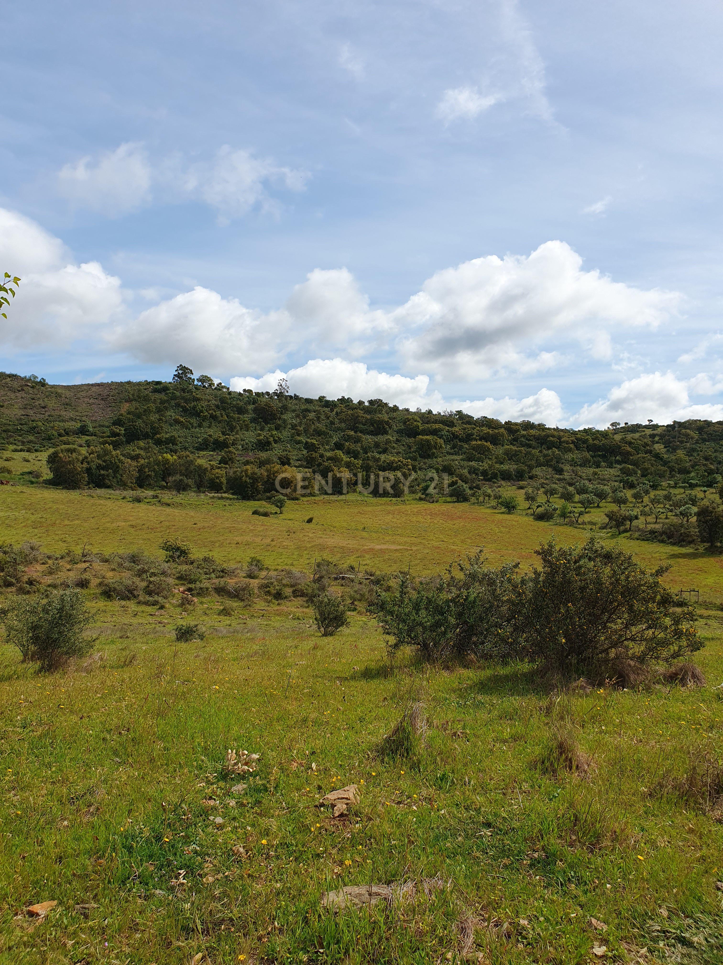 Fotografia 7 de Terreno Urbano na Serra D`Ossa Redondo