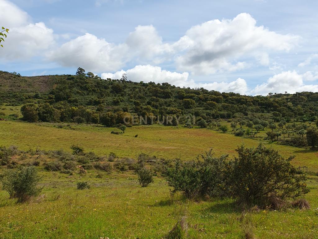 Terreno Urbano na Serra D`Ossa Redondo - Image 7