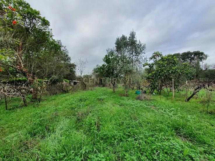 Terreno Rústico em Gonçalo, Guarda - 39.000€ - Image 7