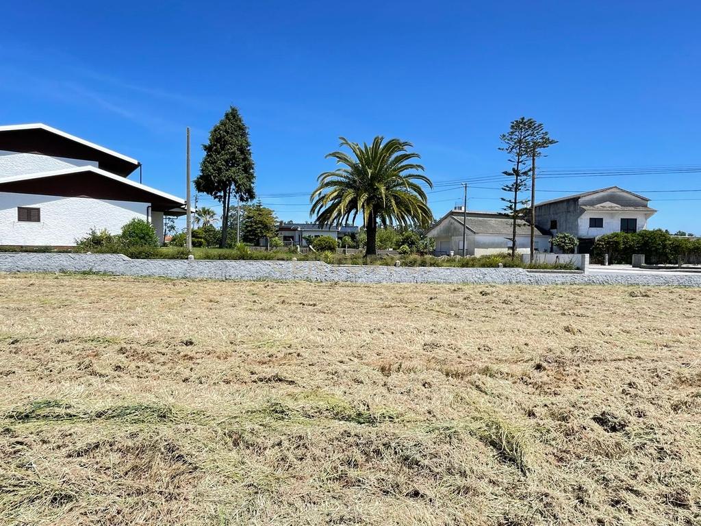 Terreno  para construção -Grou-Guia-Pombal - Image 8