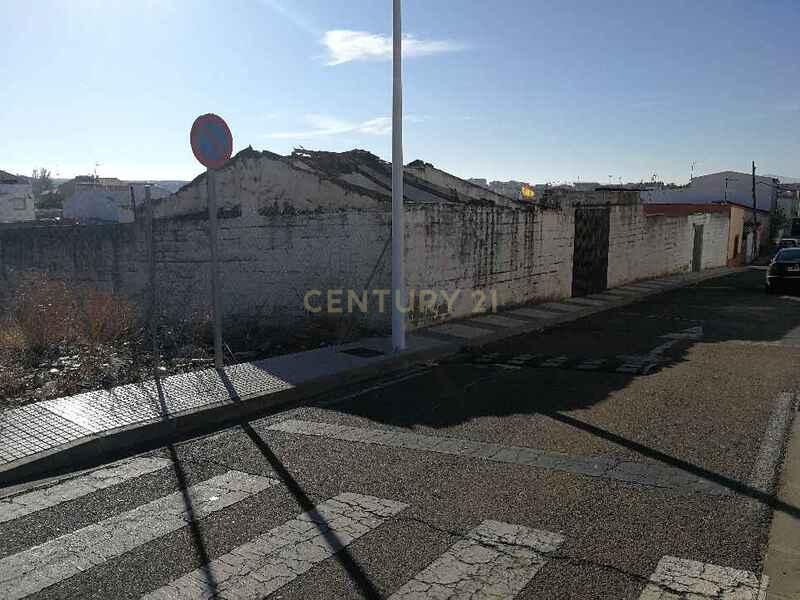 Terreno - Image 14