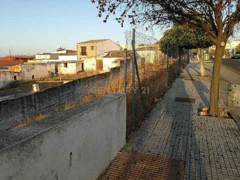 Terreno - Image 13