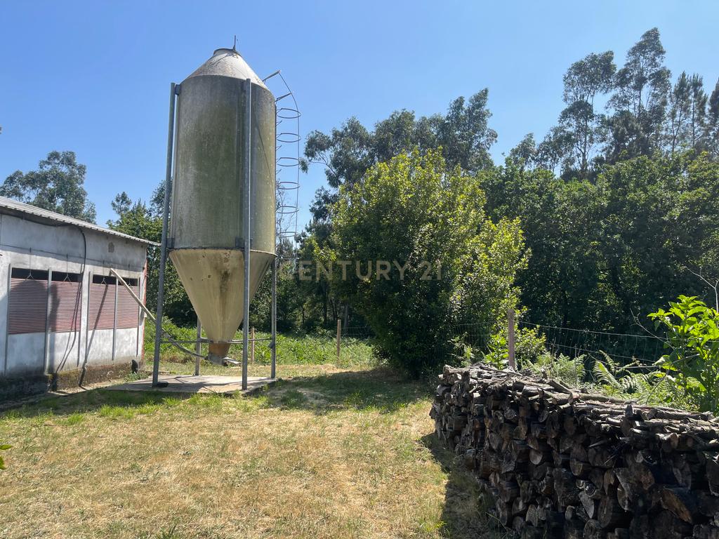Terreno de 7.500 m² situado próximo ao lago, contendo uma casa a ser restaurada e um aviário automatizado altamente rentável. - Image 30