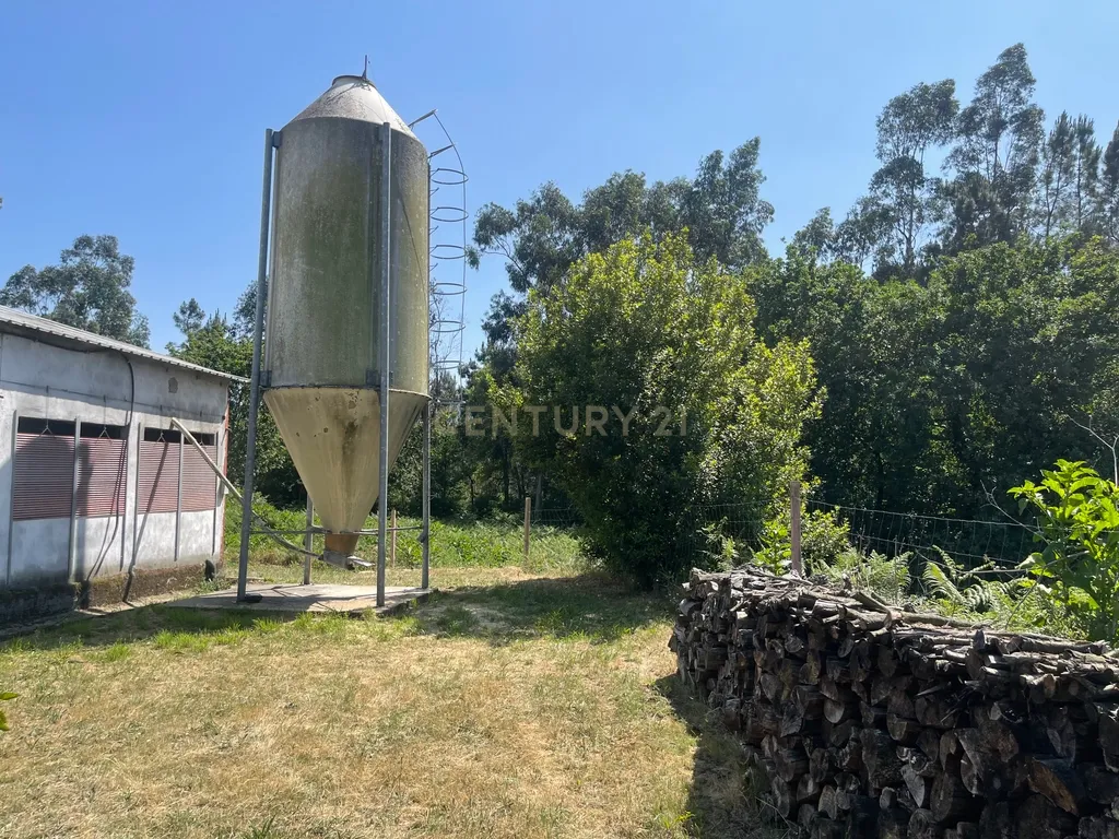 Terreno de 7.500 m² situado próximo ao lago, contendo uma casa a ser restaurada e um aviário automatizado altamente rentável. - Image 30
