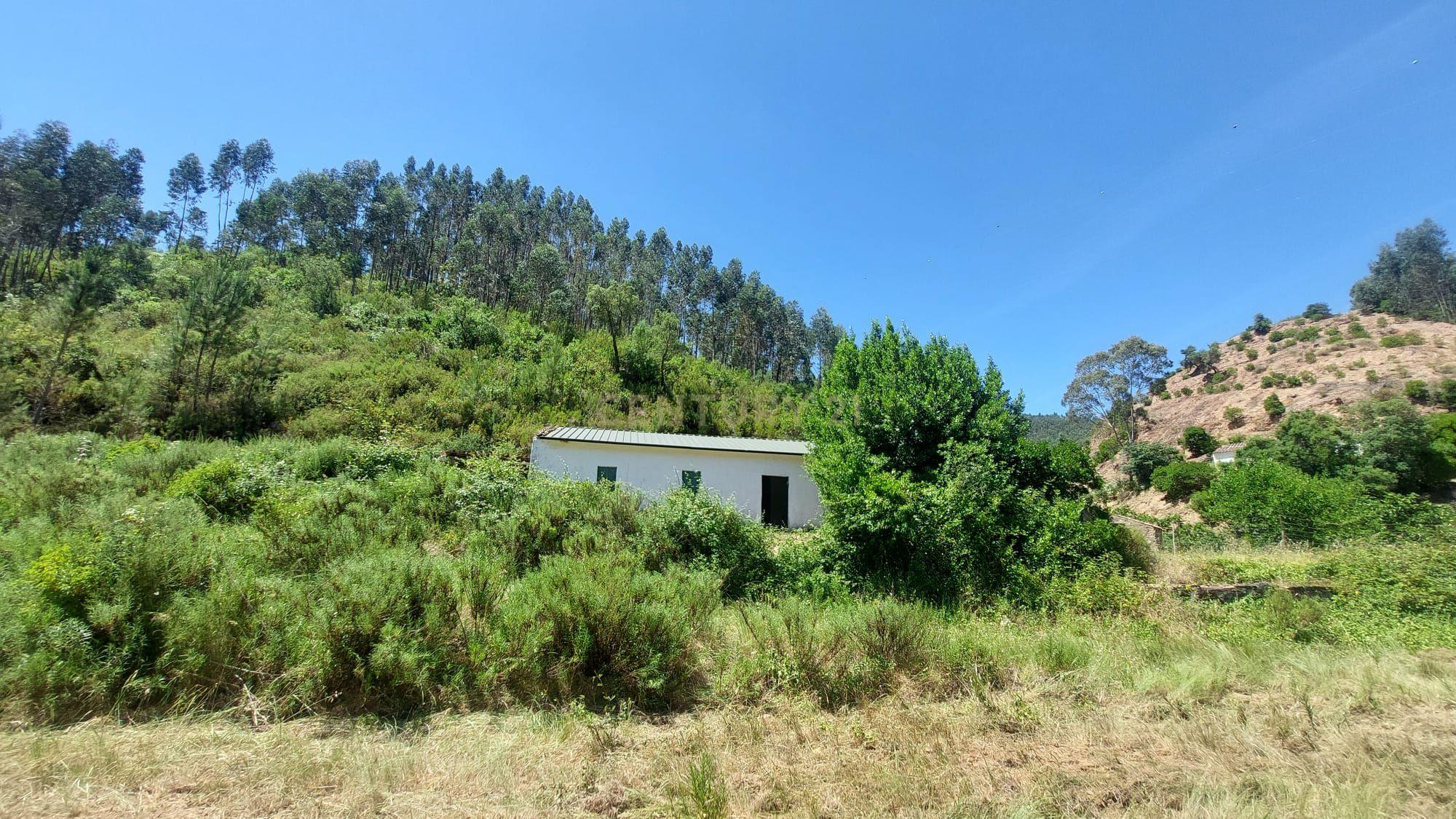 Casa de Campo | Terreno | Alferce | Monchique