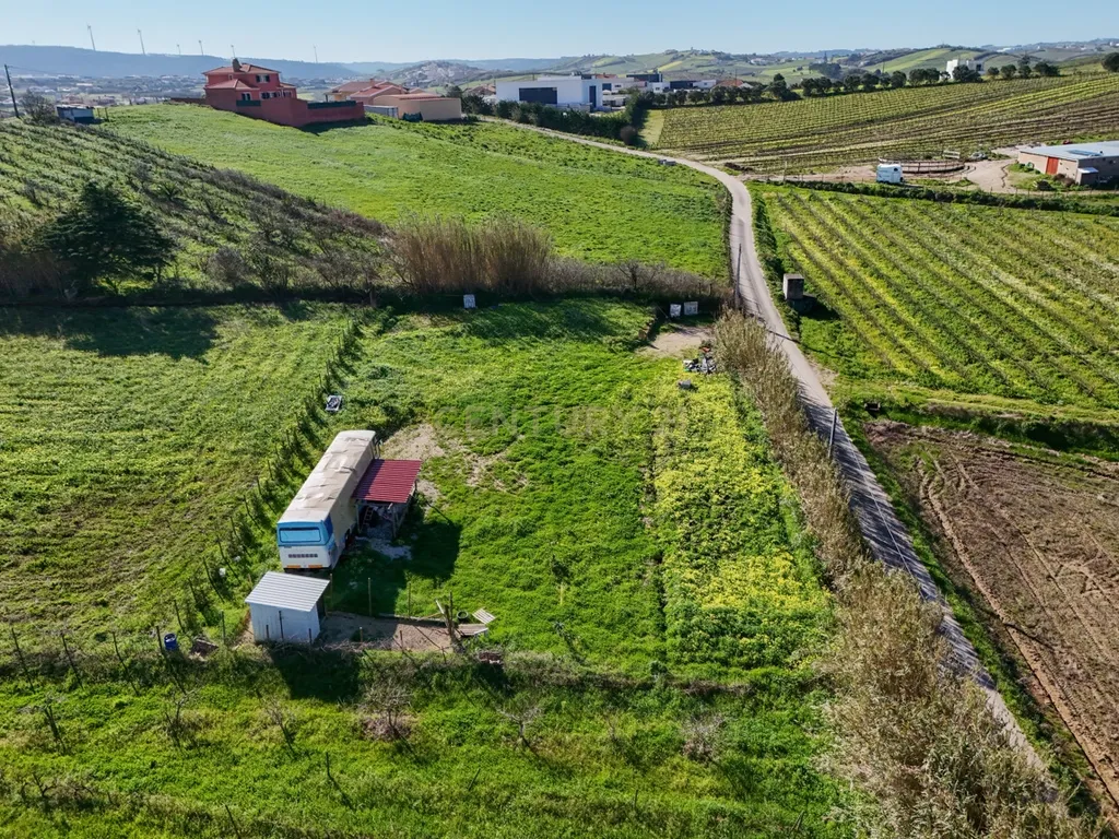 Terreno para Construção - Casal da Serpegeira, Ventosa (Torres Vedras) - Image 13