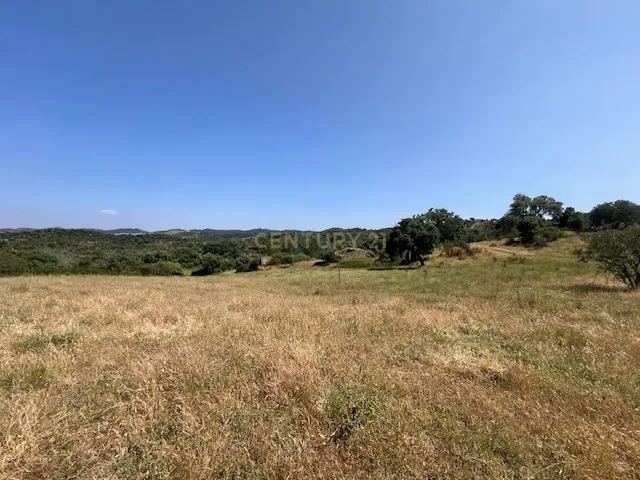Herdade com 59,225 ha , 687m2 urbano, nascente de água, em Colos, Odemira - Image 43
