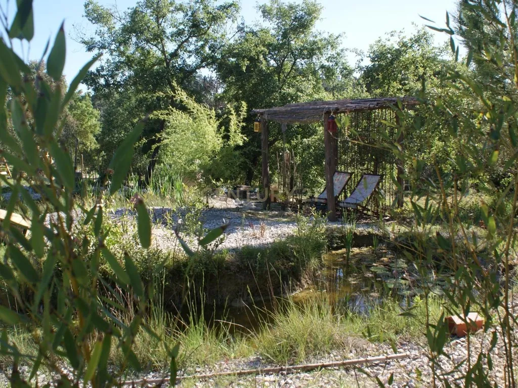 Quinta de Charme no Centro de Portugal – Natureza, Privacidade e Potencial Turístico em 2,9 Hectares - Image 13