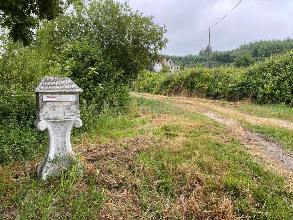 Quinta com Ruína - Oportunidade de Negócio - Image 23