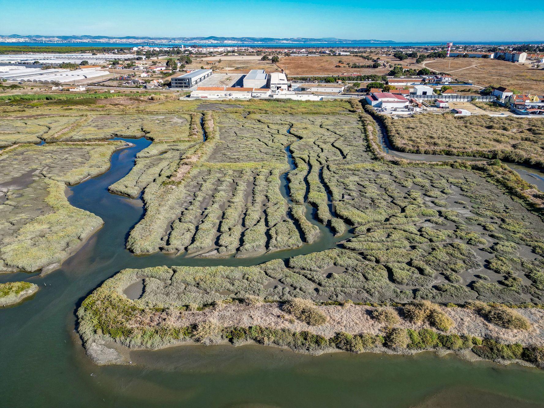 Fotografia 9 de Terreno 20,18ha, Montijo - Seixalinho, para actividades de piscicultura e agricultura
