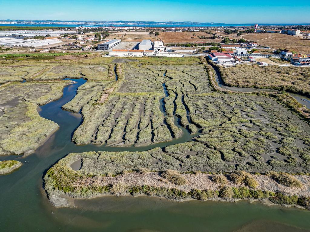 Terreno 20,18ha, Montijo - Seixalinho, para actividades de piscicultura e agricultura - Image 9